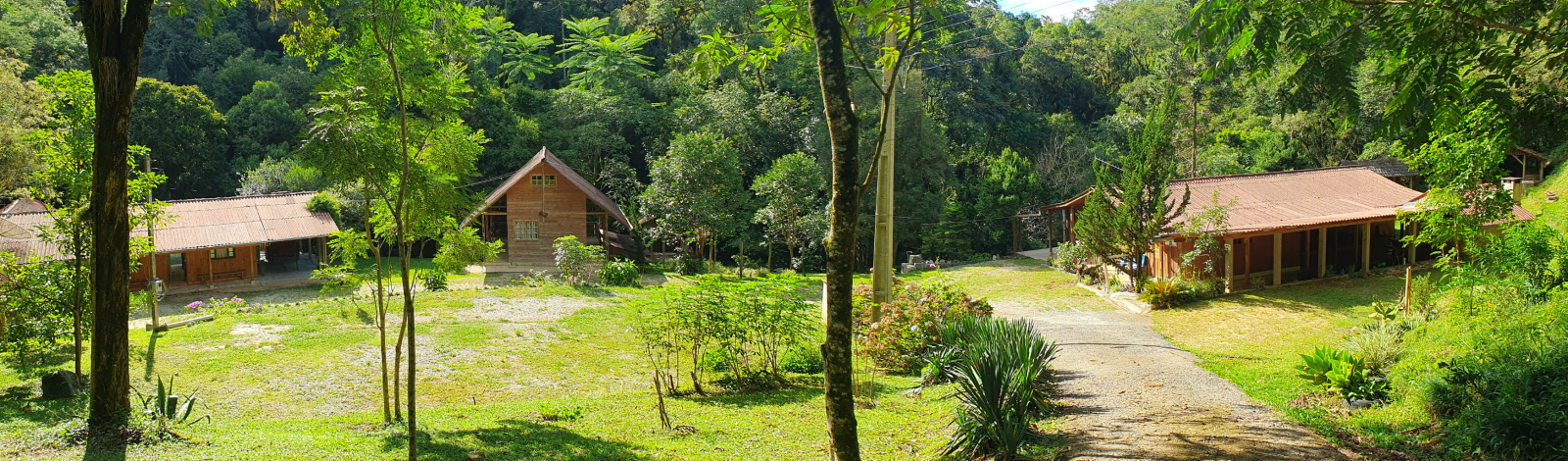 Vista panorâmica da chácara, com os chalés cercados de mata nativa